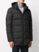 Herno hooded down-feather coat