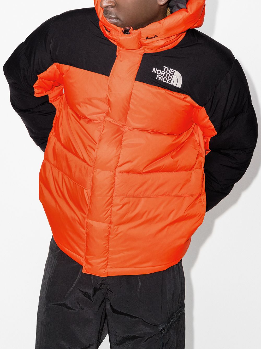 фото The north face пуховик himalayan