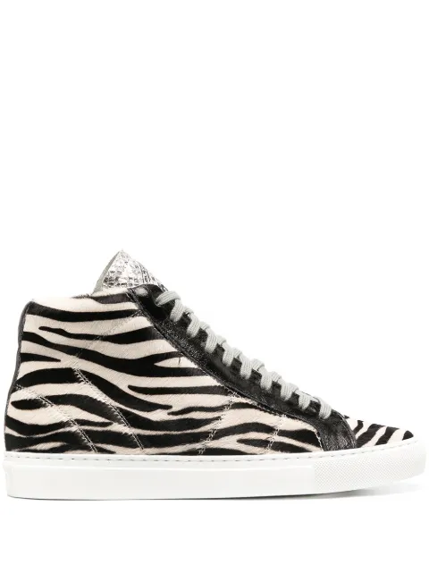 p448 star white zebra