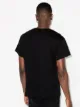 AMIRI varsitiy logo short-sleeve T-shirt