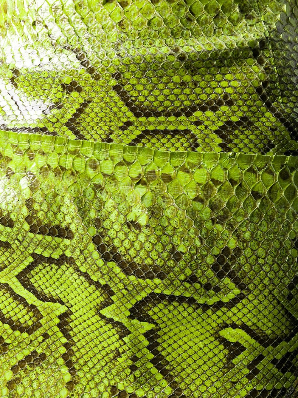 фото Dolce & gabbana юбка мини со змеиным принтом