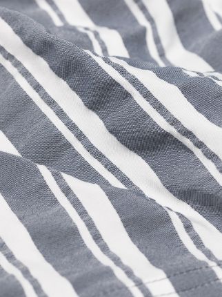 Blue And White Setter Stripe Swim Shorts展示图