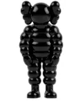 KAWS What Party figure - Black