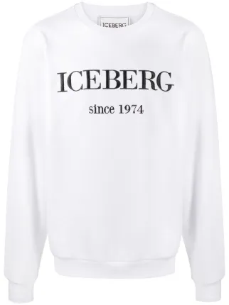 Iceberg