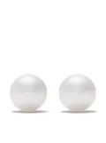 TASAKI 18kt white gold 8.5mm Akoya pearl earrings