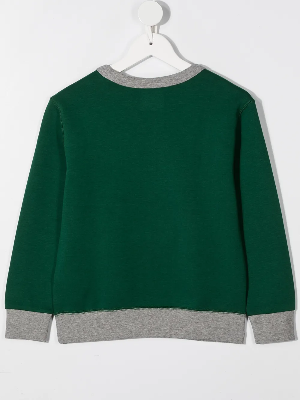 POLO RALPH LAUREN KIDS Sweater met geborduurd logo Groen