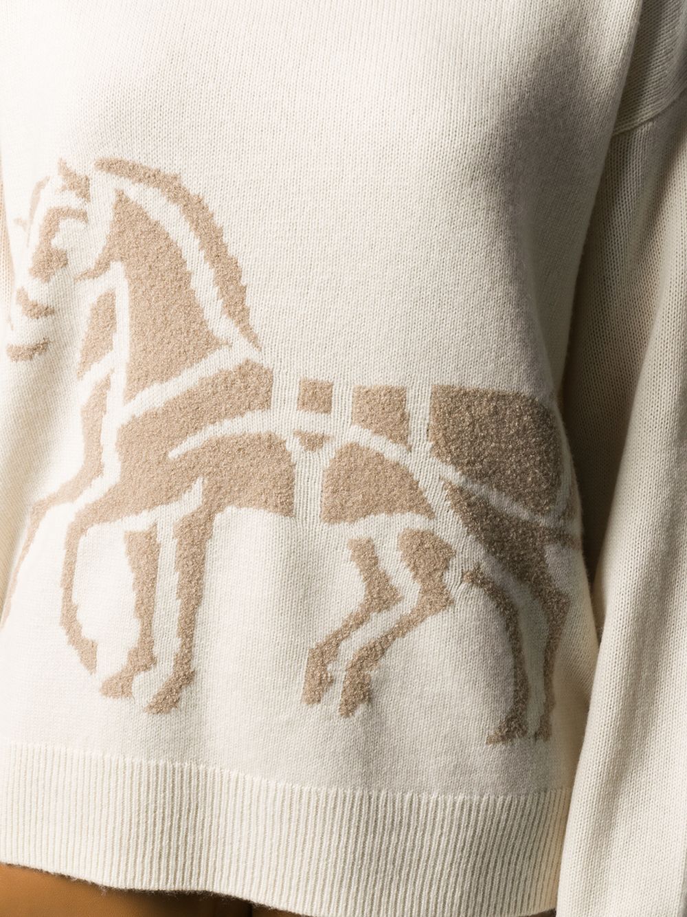 фото Coach horse and carriage jumper