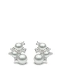 Yoko London 18kt white gold diamond pearl Trend stud earrings - Silver