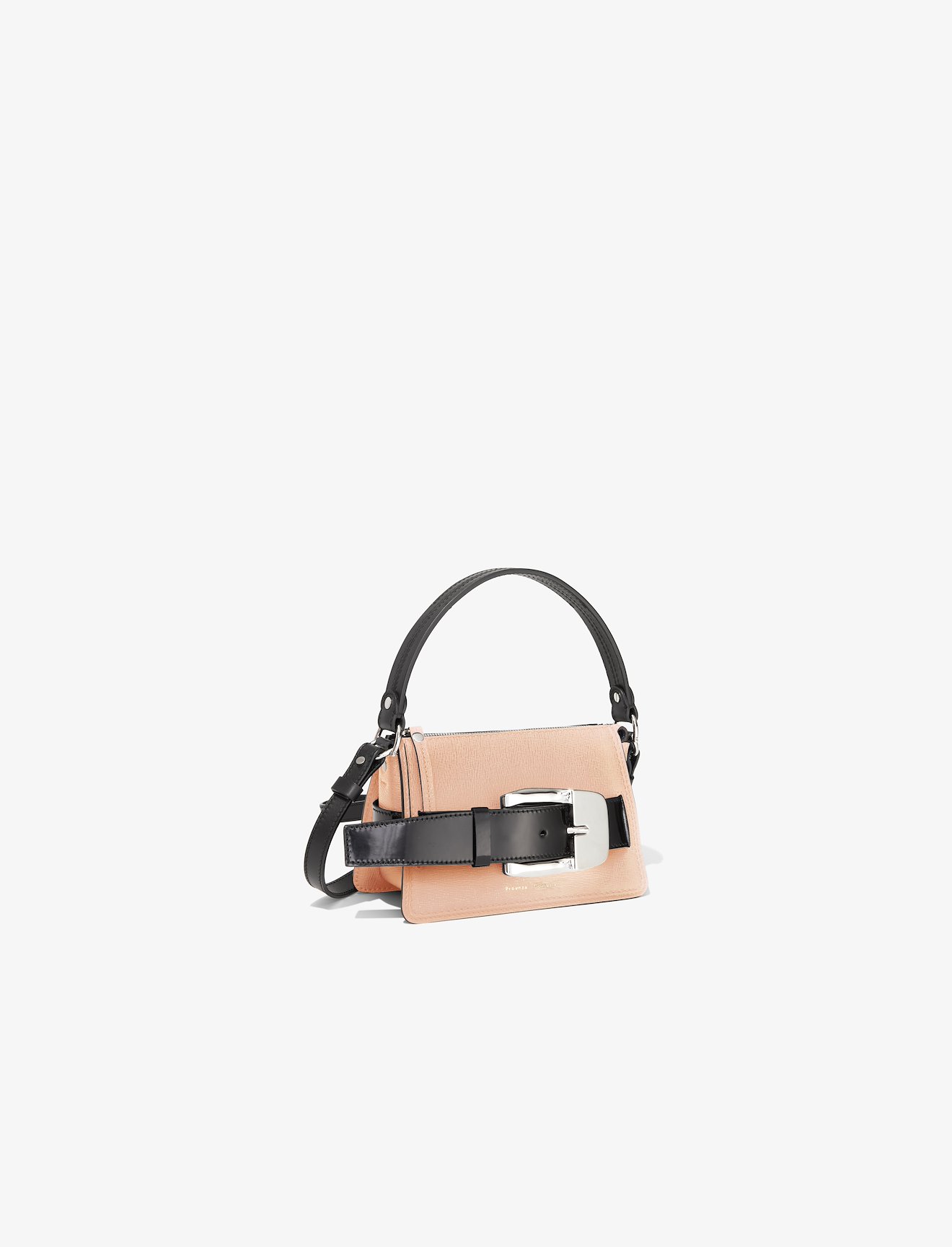 Small Buckle Zip Bag #1