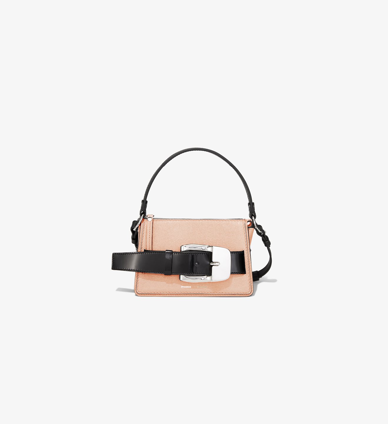 Small Buckle Zip Bag