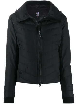 Canada Goose