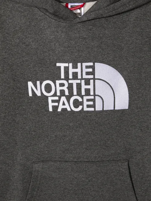 north face drew peak hoodie youth