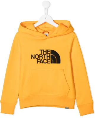 north face drew peak hoodie youth