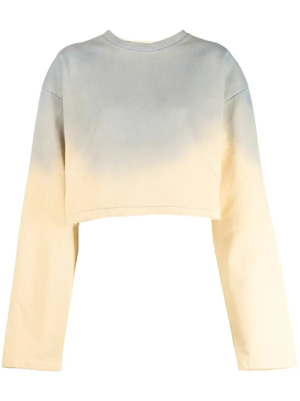 Acne cropped sweatshirt Clearance