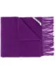 Image 1 of Acne Studios fringed brushed scarf