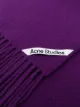 Acne Studios fringed brushed scarf