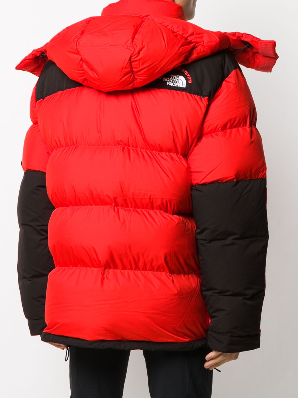 фото The north face пуховик в двух тонах