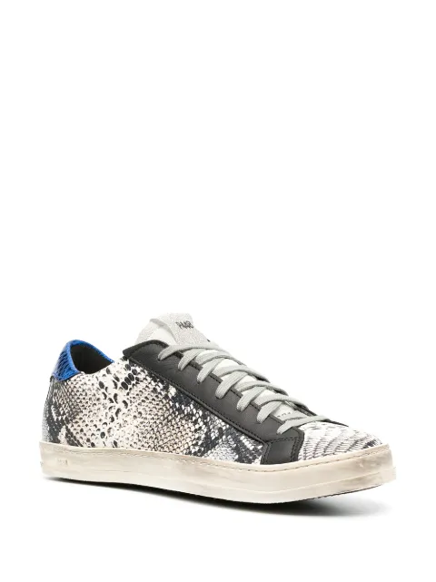 p448 john twister python