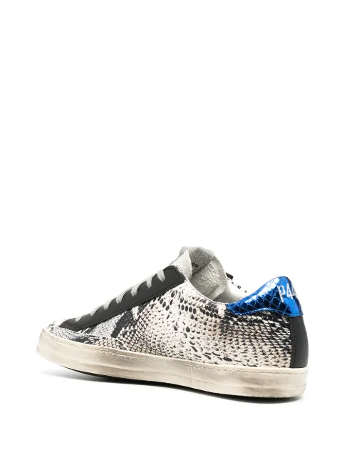 p448 john twister python