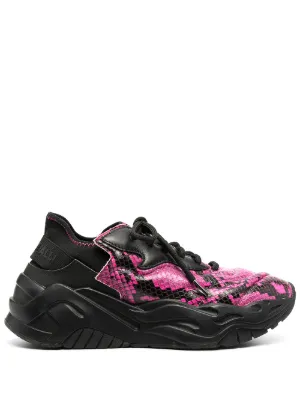 cavalli trainers womens