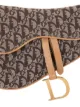 Christian Dior pre-owned Trotter Saddle top-handle bag