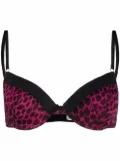 Dolce & Gabbana leopard-print padded bra - Pink