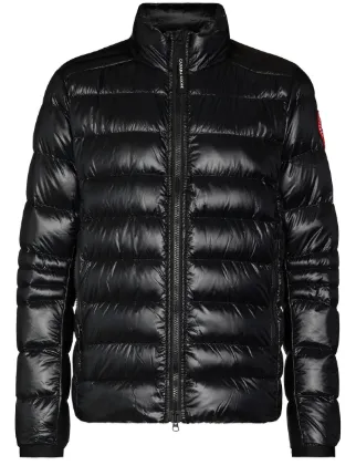 Canada Goose