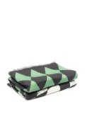 Fornasetti diamond pattern blanket - Green