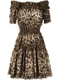 Dolce & Gabbana leopard-print short dress - Brown