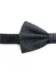Image 2 of Canali polka dot bow tie