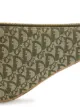 Christian Dior axelväska