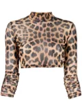 Philipp Plein leopard-print cropped top - Brown