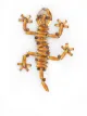 Image 1 of Etro gecko brooch