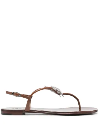 Giuseppe Zanotti