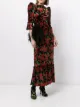 The Vampire's Wife The Festival roses print dress