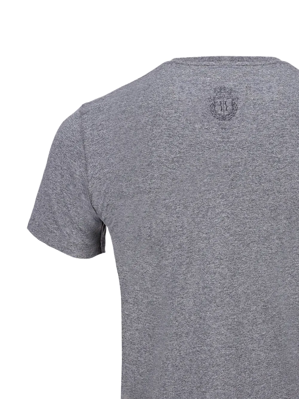 Billionaire T-shirt met leeuwprint Grijs