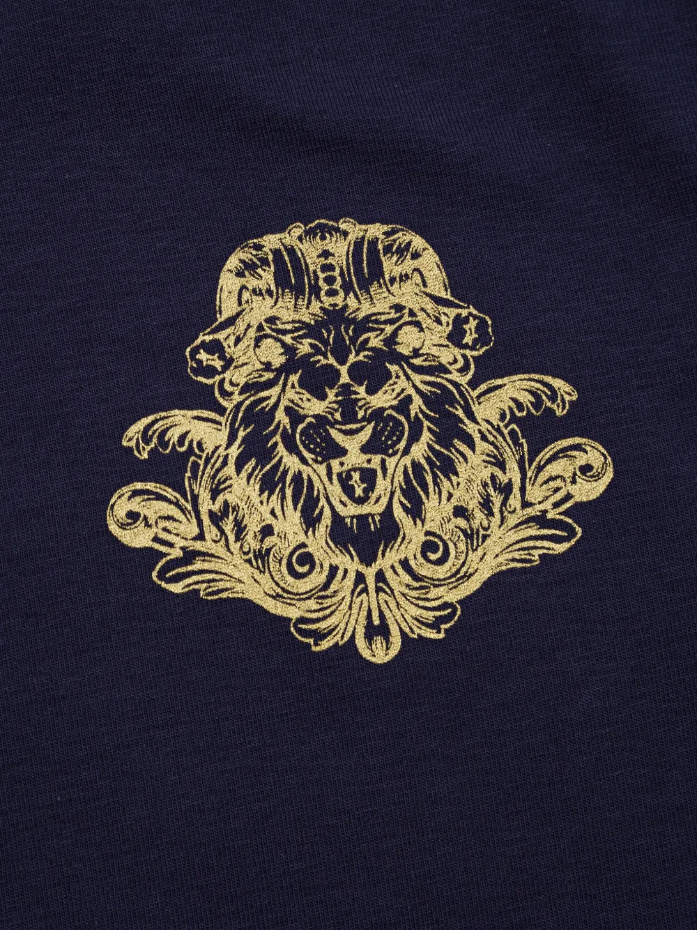 Billionaire Baldwin lion-print long-sleeve T-shirt Blauw