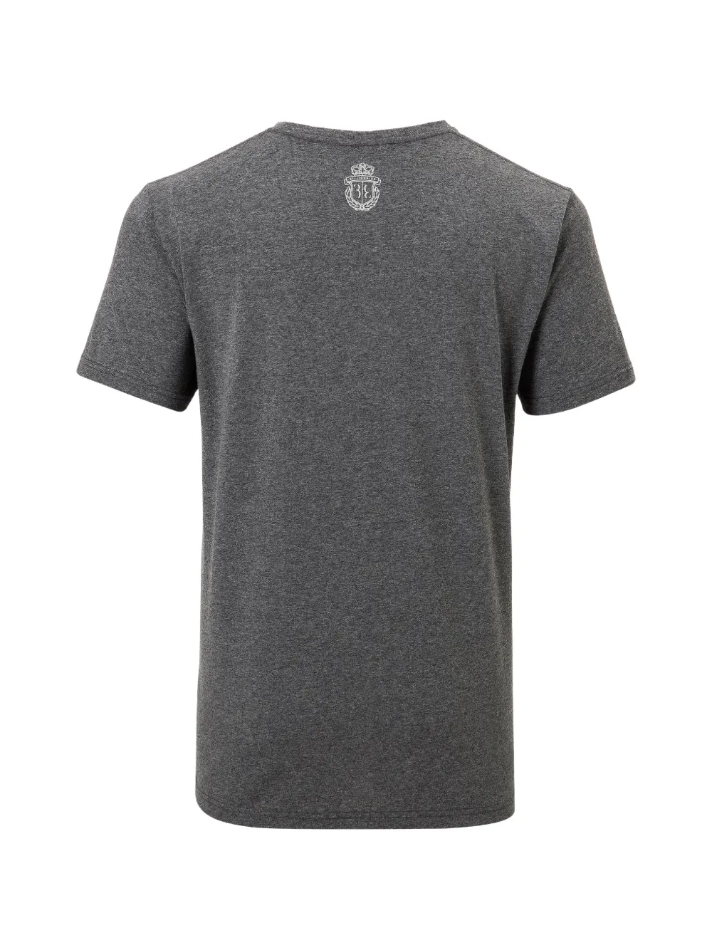 Billionaire T-shirt met leeuwprint en V-hals Grijs
