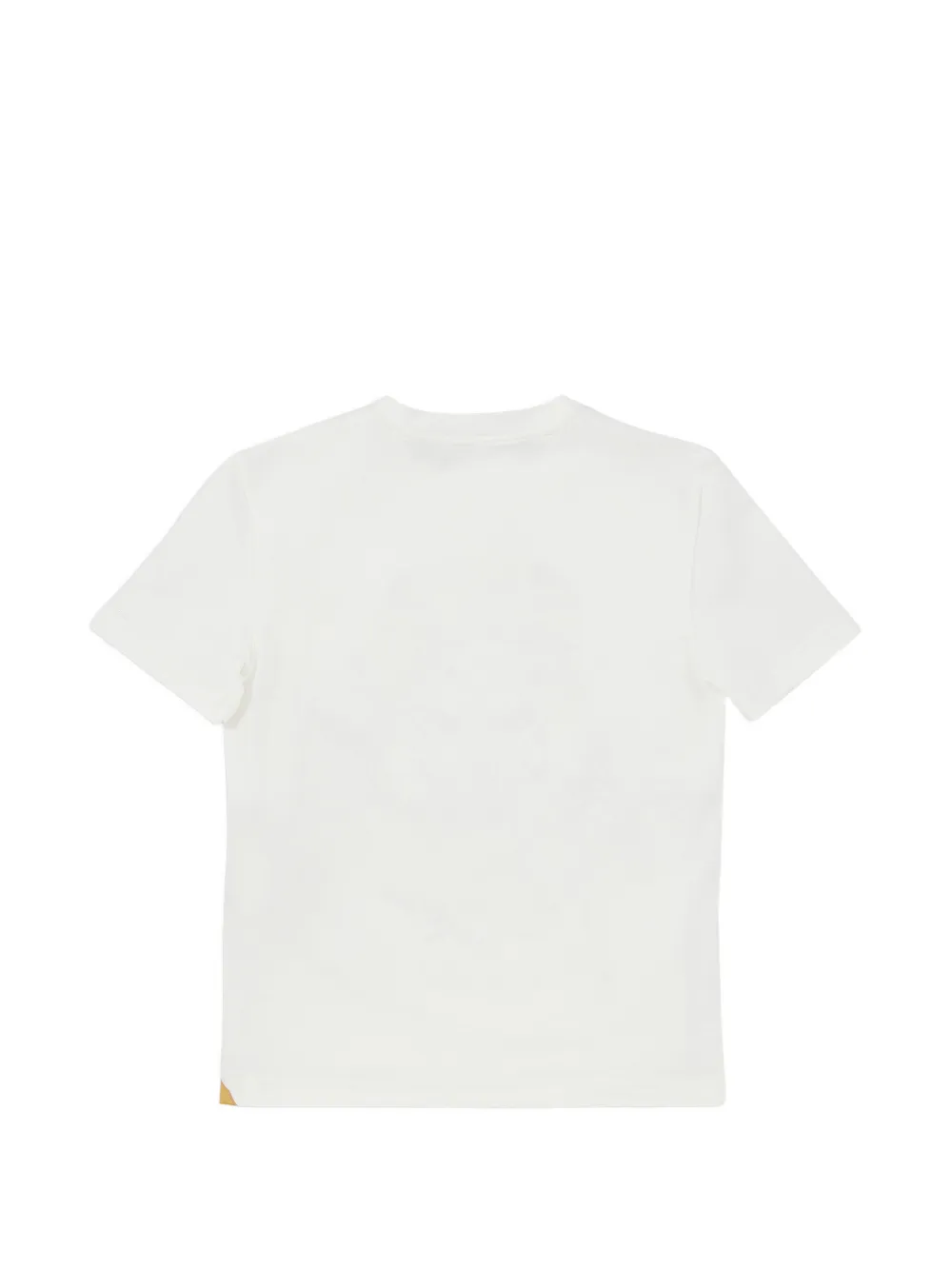 Billionaire Beaumont lion-print T-shirt Wit