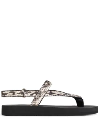 Giuseppe Zanotti