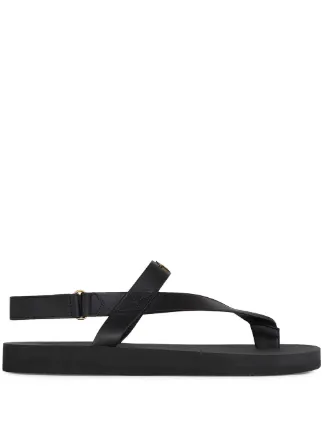 Giuseppe Zanotti