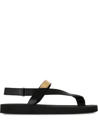 Giuseppe Zanotti