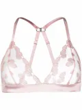 Fleur Of England Valentina sheer bra - Pink