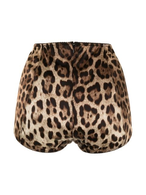 Dolce & Gabbana leopard-print high-waisted Briefs - Farfetch