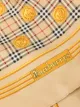 Burberry Pre-Owned house check print scarf