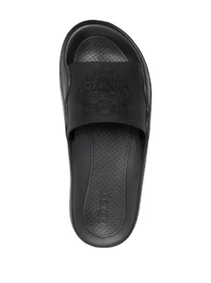 16337903_31365486_300.jpg