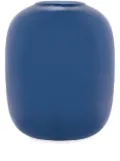 Cappellini Arya' curved vase 220mmx180mm - Blue