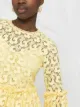 Pinko ruched-detail lace dress