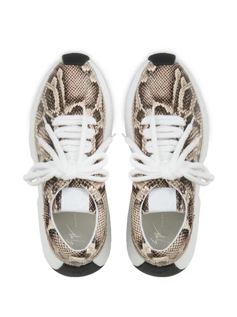 giuseppe zanotti ferox