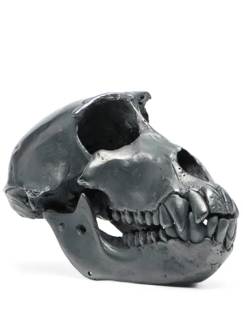 Parts of Four Monkey skull decorative object